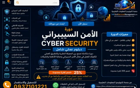 الأمن السيبراني